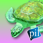 PI VR Coral Reefs-icoon