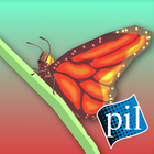 PI VR Insects icône