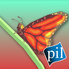 PI VR Insects biểu tượng