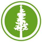 PaloAlto311 icono