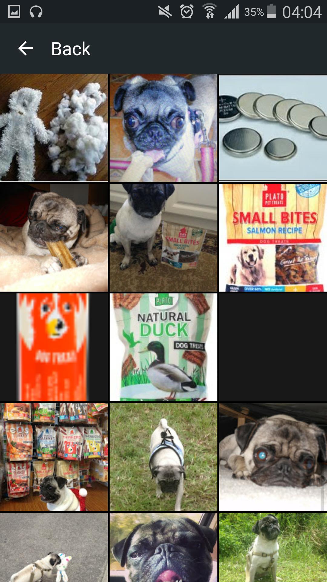 Pug Dog For Android Apk Download - pug dog roblox