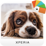 Xperia Theme - Dogs