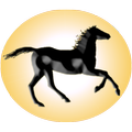 Solar System Derby