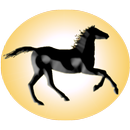 Solar System Derby APK