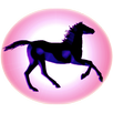 Galaxy Stables APK