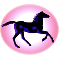 Galaxy Stables