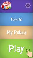 Pukka Fun 포스터