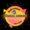 Pulmoddai FM