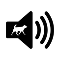 Animal Sounds
