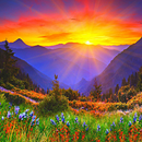 Sunrise Wallpapers APK