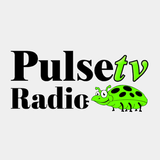 PulseTV Radio icône