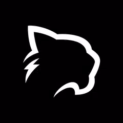 Puma Browser: Ai Chat & GPT APK Herunterladen