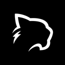 Puma Browser: private local Ai APK