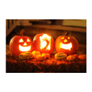 Pumpkin Carving HALLOWEEN APK