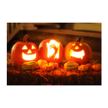 Pumpkin Carving HALLOWEEN