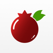 Punica Time icon
