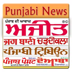 Descargar APK de Punjabi NewsPaper - Web & E-Pa