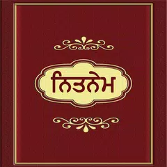 Скачать Nitnem With Audio - Live Kirtan APK