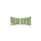 Punjabi Reviews icon