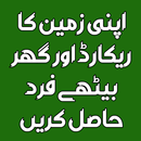 Punjab Land Record | PLR APK