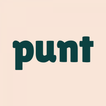 Punt - Cricket Fan Game icon