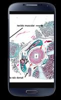 HistoBioCelP ảnh chụp màn hình 3