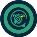 Push2Order Driver APK