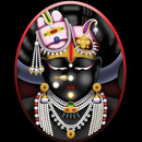 Pushtimarg Nitya Niyam-Shrinathji Nitya Niyam Path APK