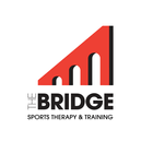 The Bridge icon