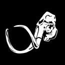 Mammoth CrossFit-APK