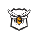 Swarm Fitness APK