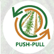 PUSH-PULL app আইকন