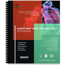 Anatomy & Physiology Textbook APK