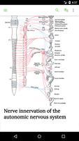 Anatomy & Physiology Textbook スクリーンショット 3