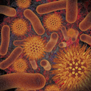 Infectious Disease Compendium APK