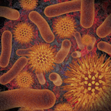 Infectious Disease Compendium biểu tượng