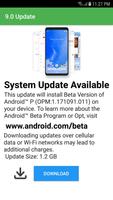 Update to Android P - 9.0 imagem de tela 1