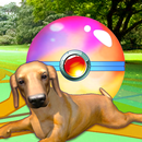 Puppy Go-APK