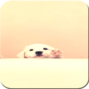 Щенок Обои APK