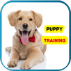 puppy training-doggie training APK