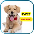 APK puppy training-doggie training