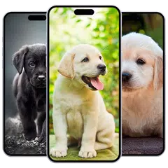 Puppy Wallpaper APK download