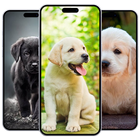 Puppy Wallpaper biểu tượng