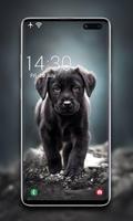Puppy Wallpaper ảnh chụp màn hình 1