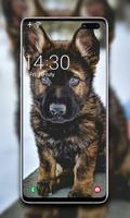 Puppy Wallpaper ảnh chụp màn hình 3