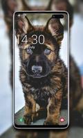 برنامه‌نما Puppy Wallpaper عکس از صفحه