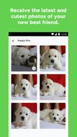 برنامه‌نما PuppySpot عکس از صفحه