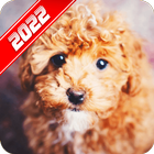 Puppy Wallpaper icon