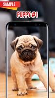 Puppy Wallpaper poster