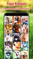 Puppy Wallpaper Cartaz